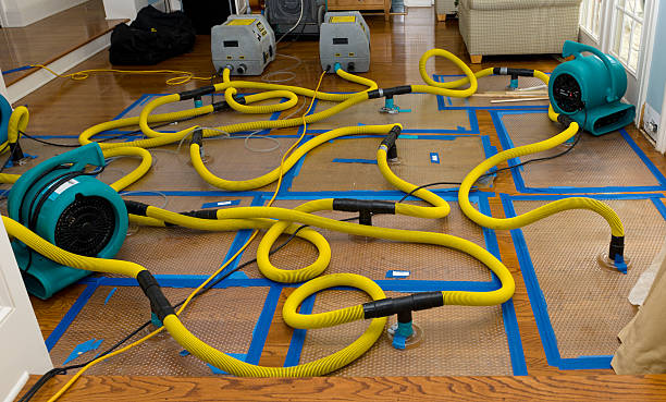 Professional Sewage Cleanup technician working in Bennington, NH